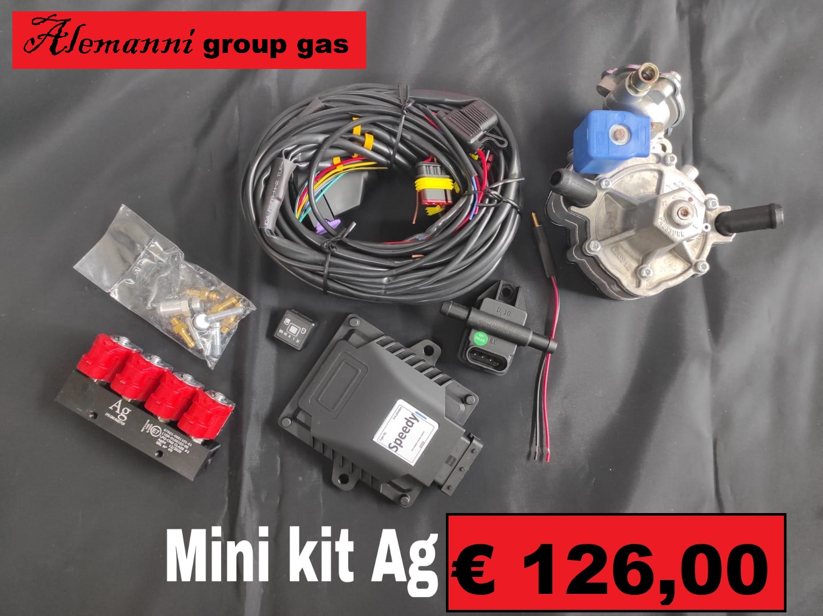 KIT_mini_Alemanni_group.jpeg